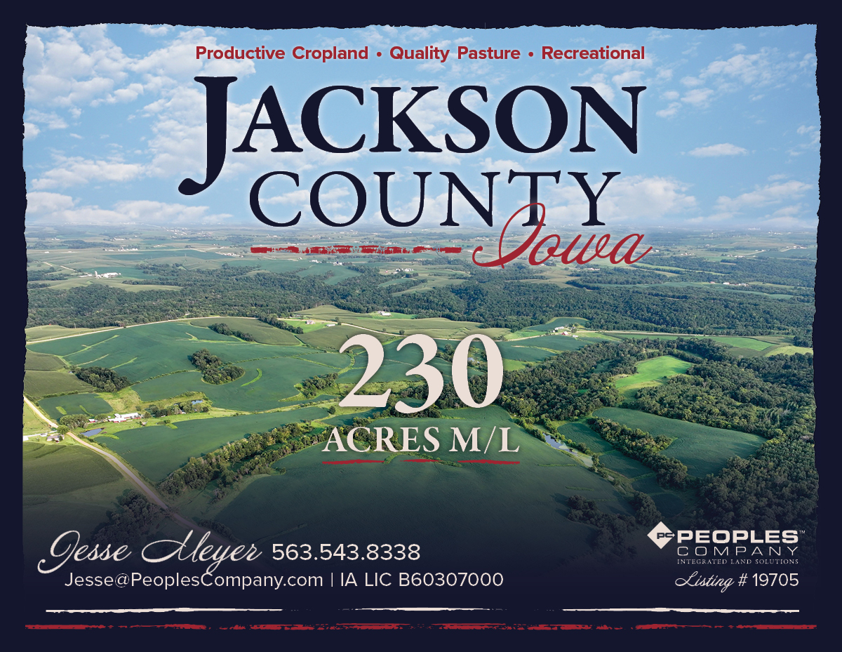 Listing #19705